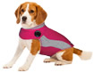 Thundershirts - The Best Solution for Dog Anxiety