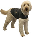 Thundershirts - The Best Solution for Dog Anxiety